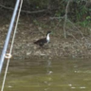 Meet your Posher, Austin